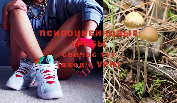 дживик Магадан