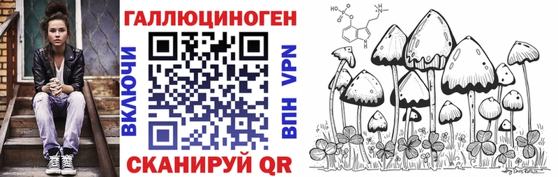 Псилоцибиновые грибы GOLDEN TEACHER  Купить  Кемь 